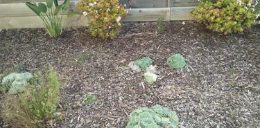 Our Works1 Mentone 2 Post