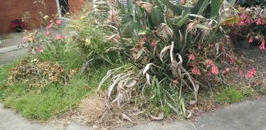 Our Works1 Mordialloc #8 Pre