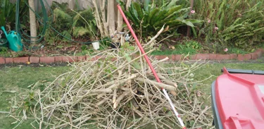 Our Works2 VSandringham #1 Pre