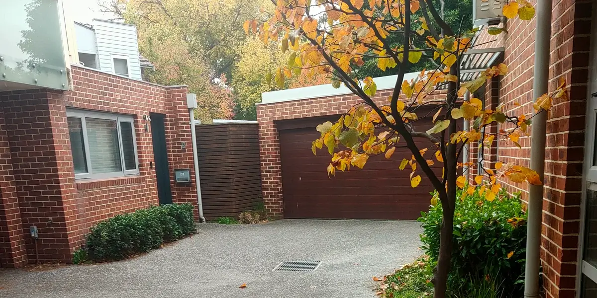 Pruning Hedging 1200x600 1 (1) Pruning Hedging 1200x600 1 (1)