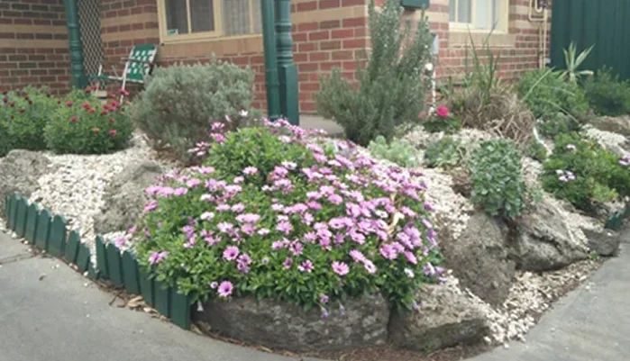 image 14
