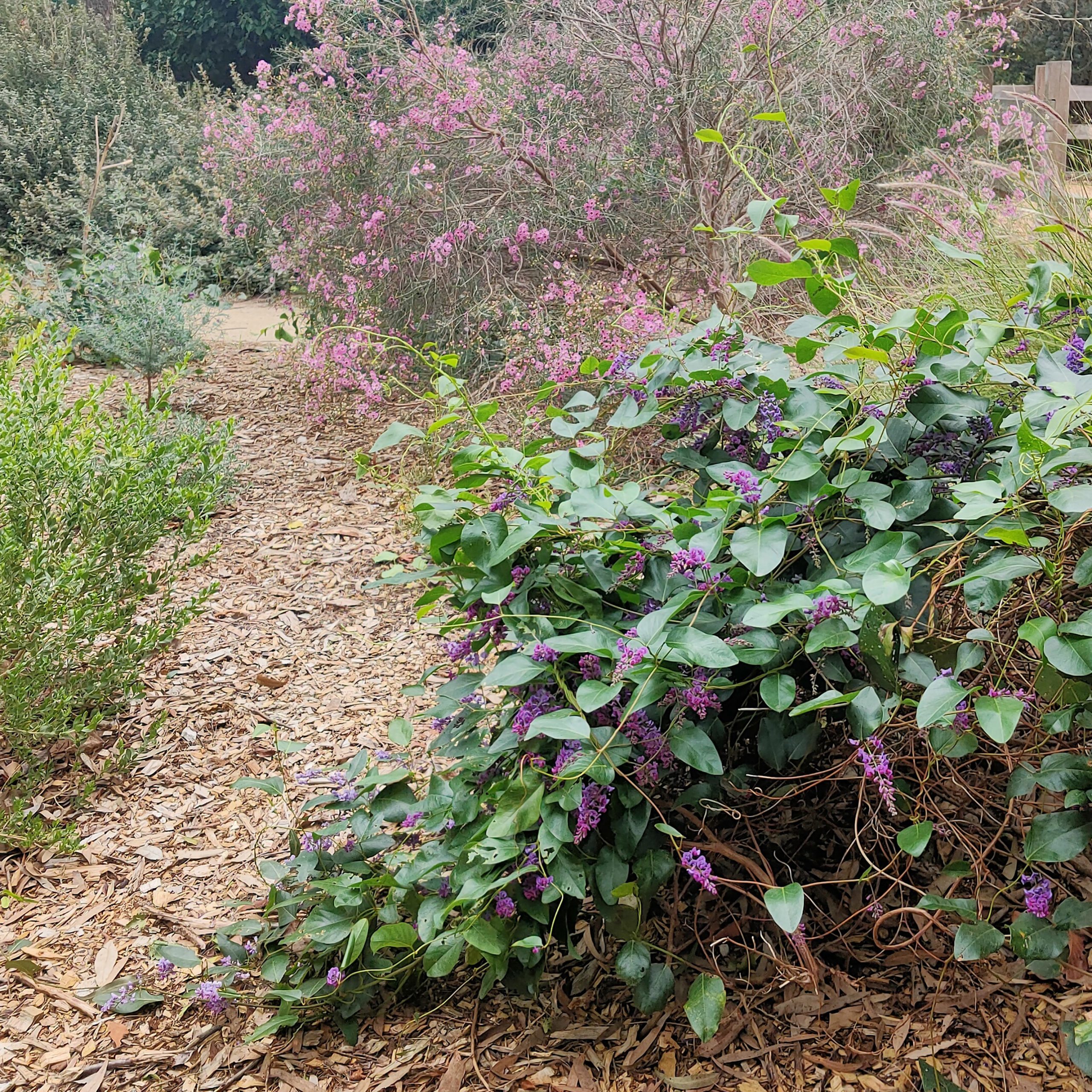 Garden Sustain