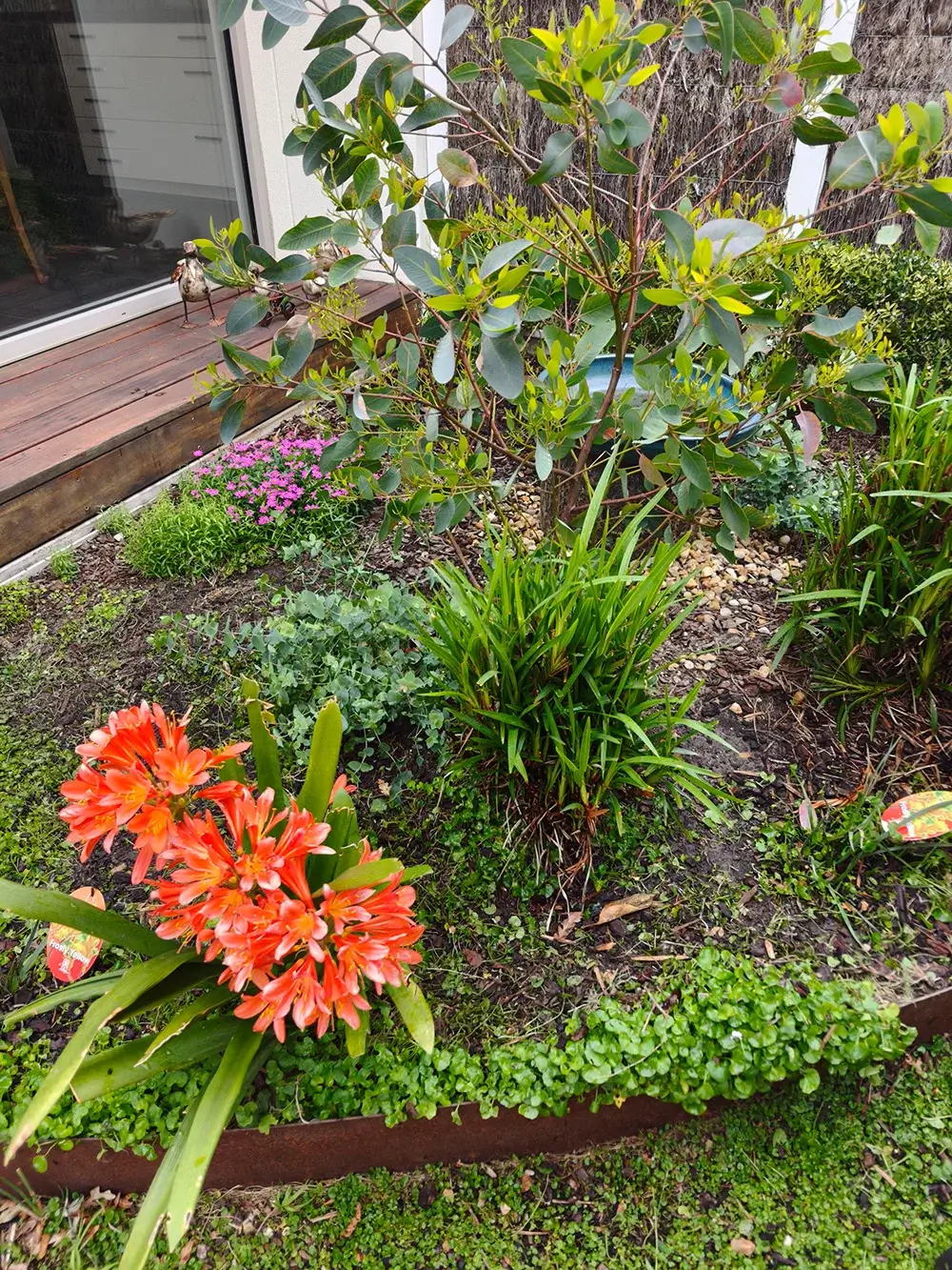 Hort blog img 1 1 1 (1)
