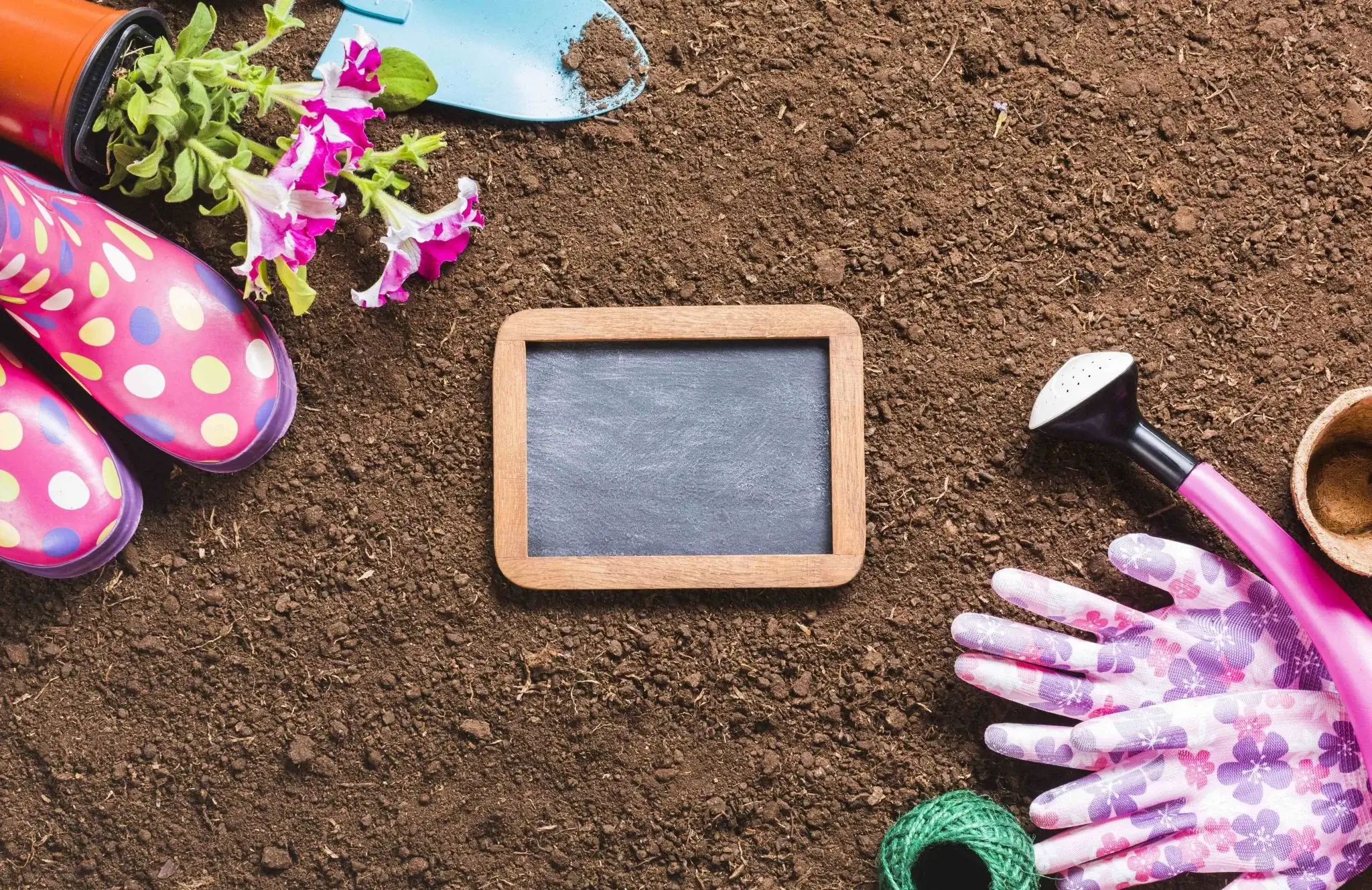 top view gardening tools ground (1)