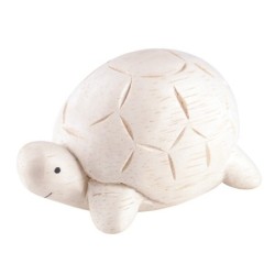 P100TT Pole Pole Tortoise