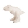 P121TY Pole Pole Tyrannosaurus