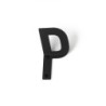 SP002P P Letter Hook