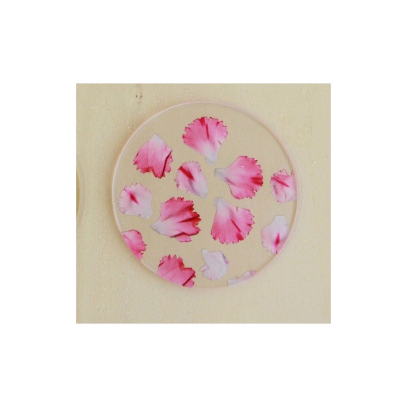 TU001PK1 Coaster Single Pink