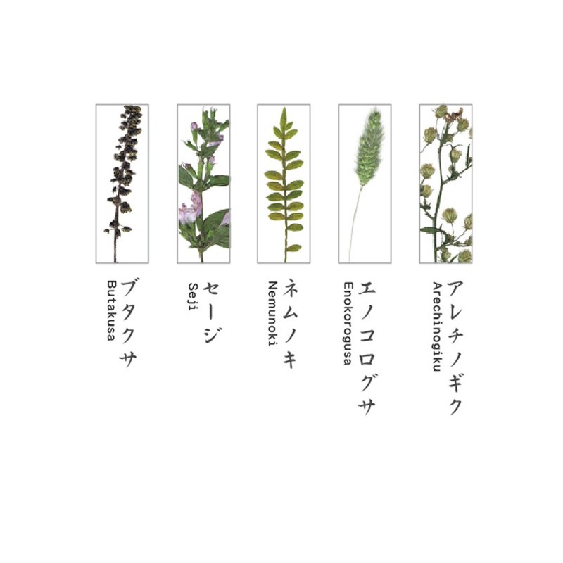 TU002BB Chopstick Rest Set Botanics B
