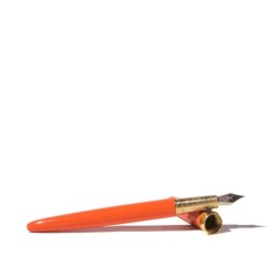 FW004PS Brush Fountain Pen Fine Nib Persimmon