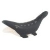 P121MS Pole Pole Mosasaurus