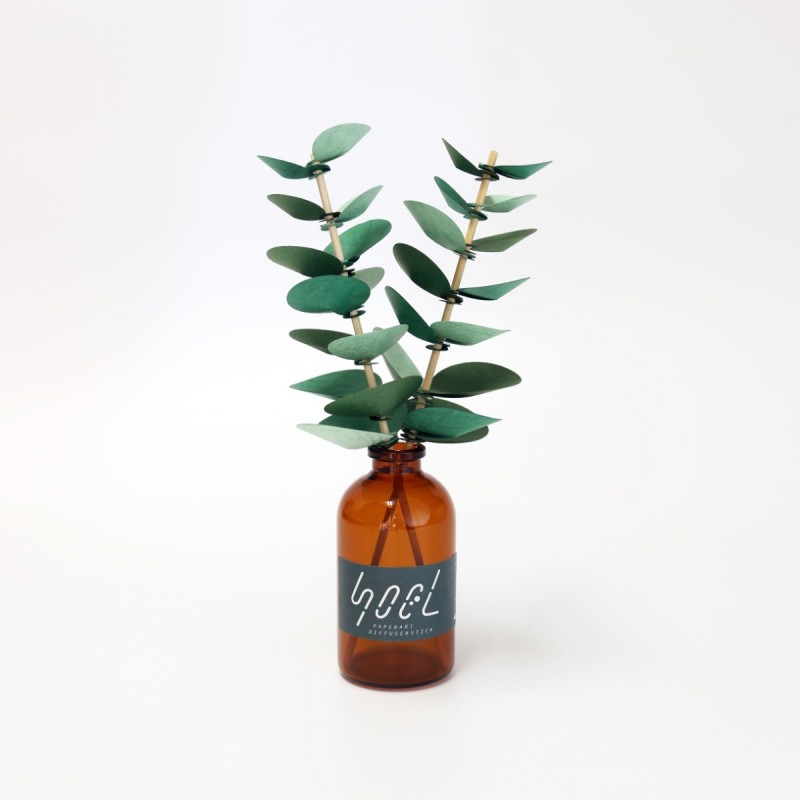 BC003 SOEL Eucalyptus