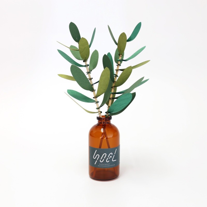 BC003OL SOEL Olive