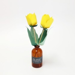 BC003TU SOEL Tulip