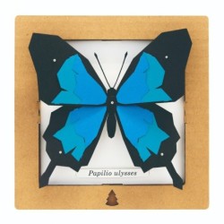 BC00201 SQAR Blue Butterfly