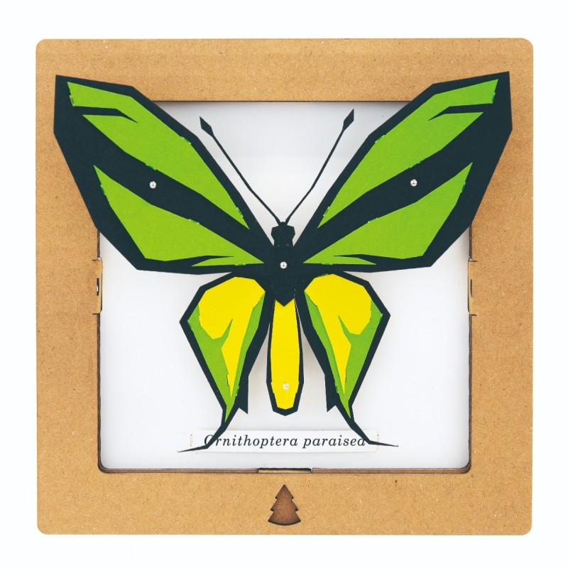 BC00202 SQAR Green Butterfly