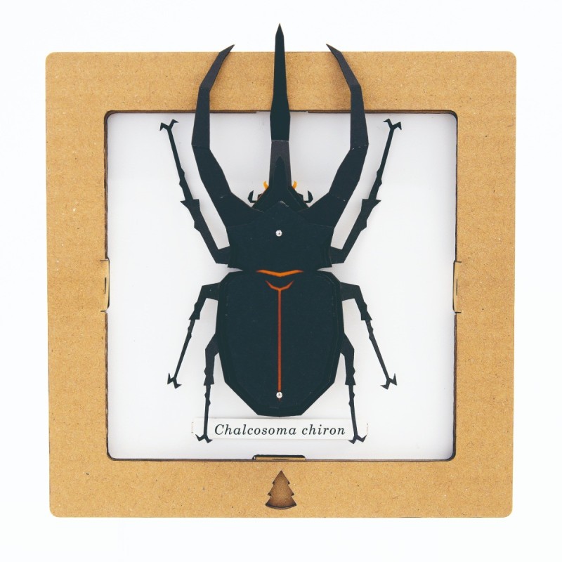 BC00204 SQAR Black Caucasus Beetle