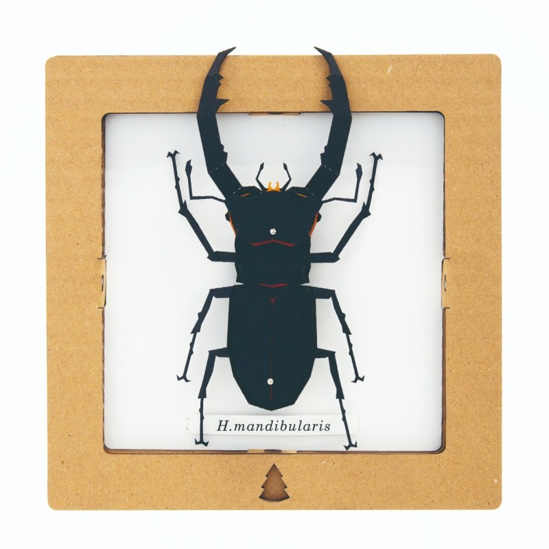BC00205 SQAR Black Stag Beetle