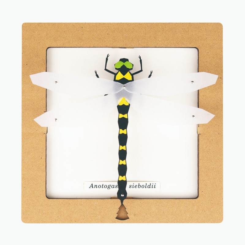 BC00206 SQAR Dragonfly