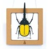 BC00207 SQAR Yellow Hercules Beetle