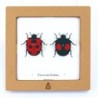 BC00209 SQAR Ladybug Pair