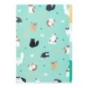 I280CT 3-Pocket Clear File Cat