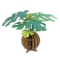 BC004MN KAMI NO MIDORI Monstera