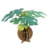 BC004MN KAMI NO MIDORI Monstera