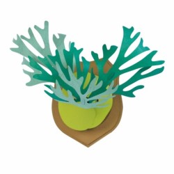 BC004SF KAMI NO MIDORI Staghorn Fern