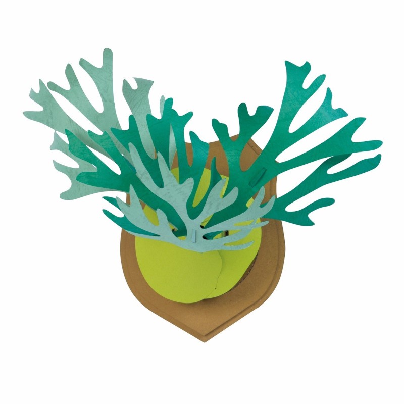 BC004SF KAMI NO MIDORI Staghorn Fern