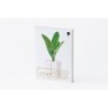 GM26GR Calendar Greenery 2026